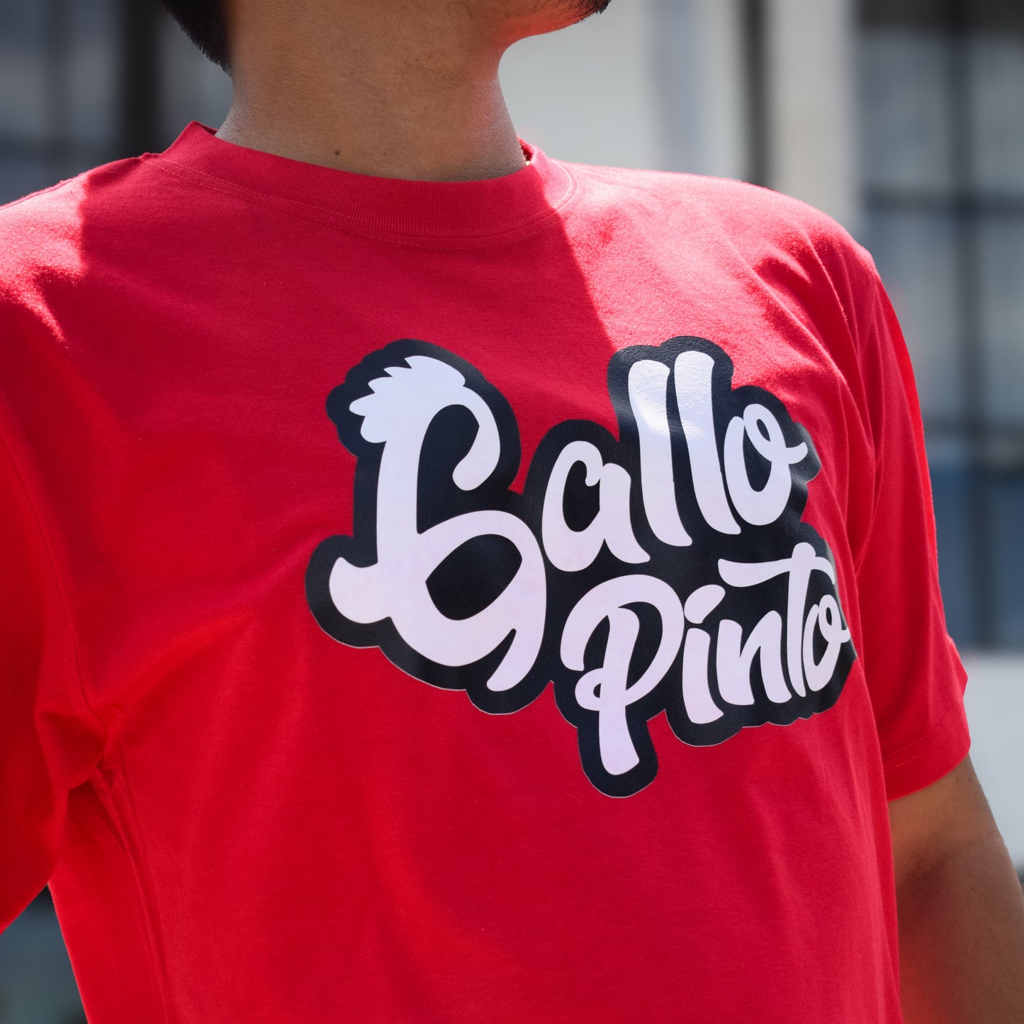 Camiseta Gallo Pinto