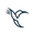 Colibri Nicaragua logo